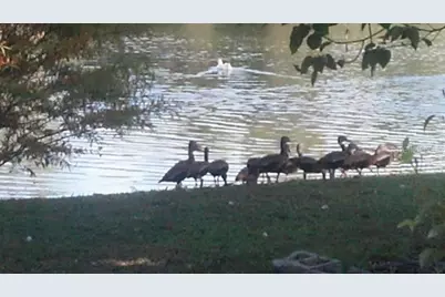 1024 - 1038 W Dixie Avenue, Leesburg, FL 34748 - Photo 1