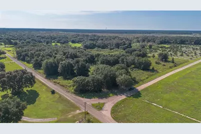Yale Hammock Road, Umatilla, FL 32784 - Photo 3