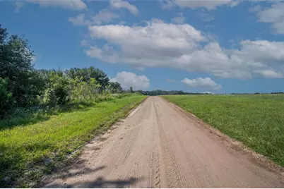 Yale Hammock Road, Umatilla, FL 32784 - Photo 9