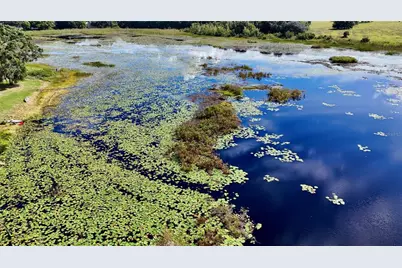 7089 Number Two Road, Yalaha, FL 34797 - Photo 17