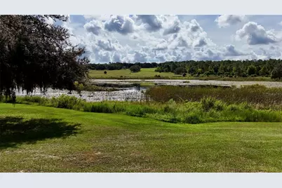 7089 Number Two Road, Yalaha, FL 34797 - Photo 9