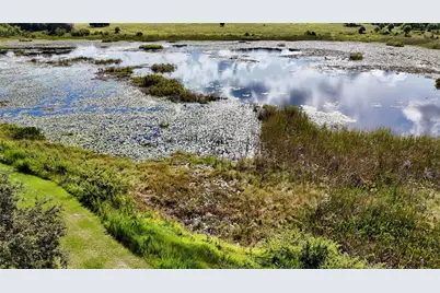 7089 Number Two Road, Yalaha, FL 34797 - Photo 13