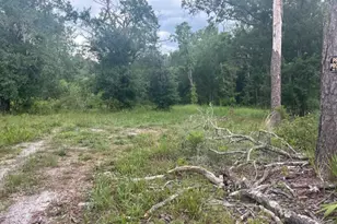 00 SW 158th Ln, Dunnellon, FL 34432 - Photo 1