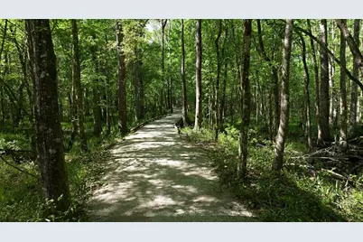 253 Ridgewind Drive, Saint Augustine, FL 32092 - Photo 59