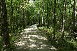 253 Ridgewind Dr, Saint Augustine, FL 32092 - Photo 59