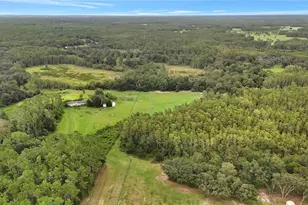 3430 Conniff Rd, Groveland, FL 34736 - Photo 37