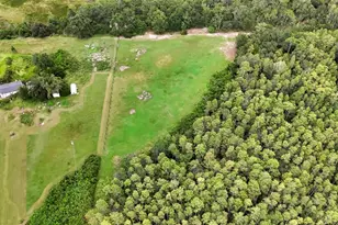 3430 Conniff Rd, Groveland, FL 34736 - Photo 47