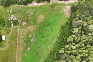 3430 Conniff Rd, Groveland, FL 34736 - Photo 39