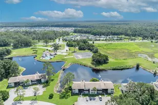 19201 Sandalwood Dr, Wildwood, FL 34785 - Photo 29