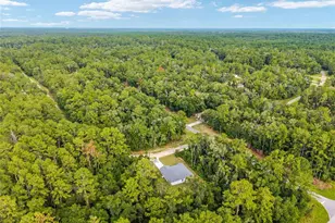 595 E Byrd Loop, Dunnellon, FL 34434 - Photo 45