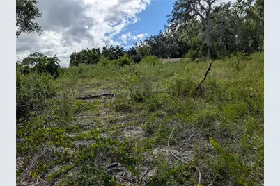 5387 SE 168th Avenue, Ocklawaha, FL 32179 - Photo 11