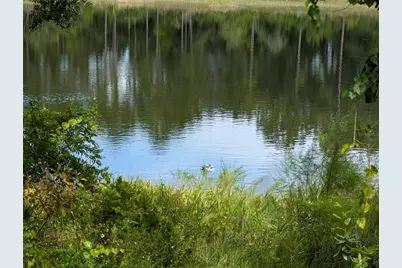 5387 SE 168th Avenue, Ocklawaha, FL 32179 - Photo 3