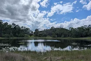 5387 SE 168th Ave, Ocklawaha, FL 32179 - Photo 1