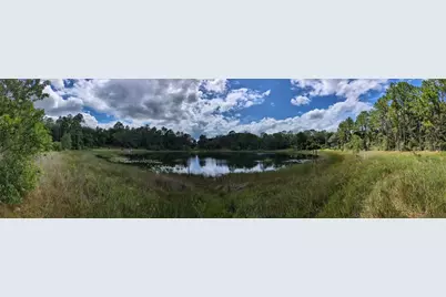 5387 SE 168th Avenue, Ocklawaha, FL 32179 - Photo 9