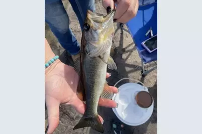 5387 SE 168th Avenue, Ocklawaha, FL 32179 - Photo 7