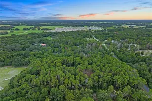 1467 Co Rd 543A, Sumterville, FL 33585 - Photo 53