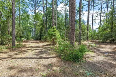 1467 Cr 543A, Sumterville, FL 33585 - Photo 33
