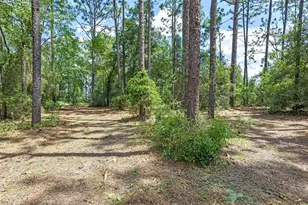 1467 Cr 543A, Sumterville, FL 33585 - Photo 33