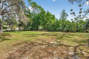 705 Mike Ave, Fruitland Park, FL 34731 - Photo 3