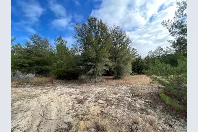 00 Sr 20, Interlachen, FL 32148 - Photo 5