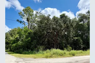 Lot 1 Palm Drive, Eustis, FL 32736 - Photo 1