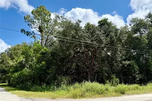 Lot 1 Palm Dr, Eustis, FL 32736 - Photo 1