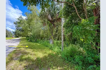 Lot 1 Palm Drive, Eustis, FL 32736 - Photo 3