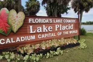 450 Kemper Ave, Lake Placid, FL 33852 - Photo 5