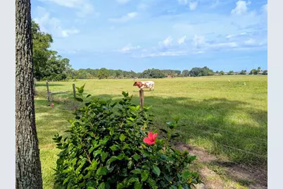 3310 Manatee Road, Tavares, FL 32778 - Photo 7