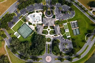 27313 Falcon Feather Way, Leesburg, FL 34748 - Photo 49