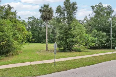 847 Palmetto Street, Eustis, FL 32726 - Photo 5