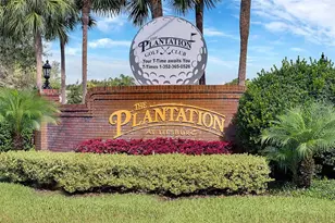 3728 Mulberry Grove Loop, Leesburg, FL 34748 - Photo 53