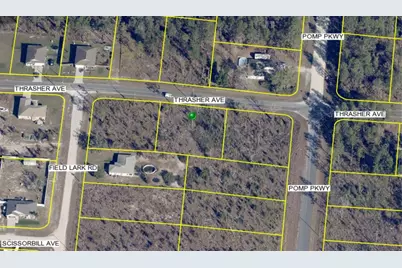 13101 Thrasher Avenue, Weeki Wachee, FL 34614 - Photo 1