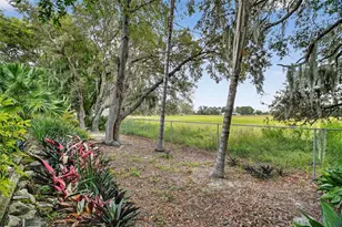 8252 Bridgeport Bay Cir, Mount Dora, FL 32757 - Photo 35