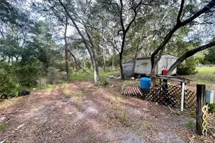 32741 Pine Rd, Eustis, FL 32736 - Photo 17