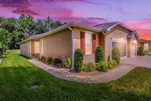 26939 White Plains Way, Leesburg, FL 34748 - Photo 1