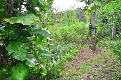 515 Twin Lakes Circle, Lakeland, FL 33815 - Photo 11