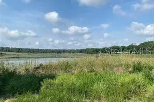 County Road 48, Yalaha, FL 34797 - Photo 1