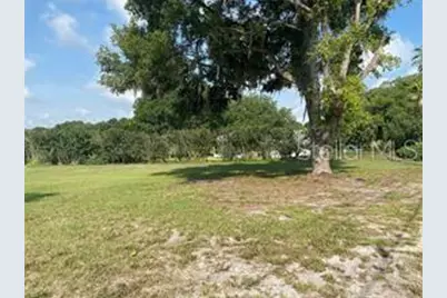 County Road 48, Yalaha, FL 34797 - Photo 3