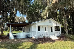 102 Possum Hollow Rd, Georgetown, FL 32139 - Photo 1