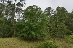 5510 San Juan Dr, Sebring, FL 33872 - Photo 3