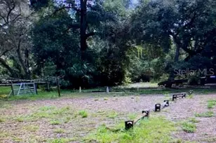 40130 County Rd 439, Umatilla, FL 32784 - Photo 25