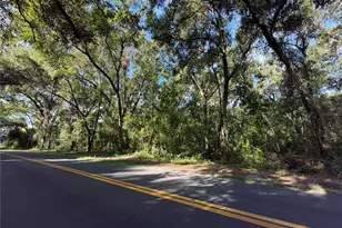 Tbd S St Clair St, Wildwood, FL 34785 - Photo 1