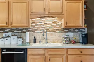 12163 SE 176th Loop, Summerfield, FL 34491 - Photo 17