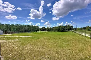 11200 Buckhill Ln, Clermont, FL 34715 - Photo 85