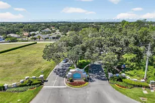 21607 Regency Park Ln, Leesburg, FL 34748 - Photo 47