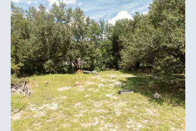 2946 SE 21st Avenue, Sumterville, FL 33585 - Photo 7