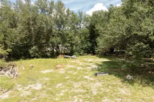 2946 SE 21st Ave, Sumterville, FL 33585 - Photo 7