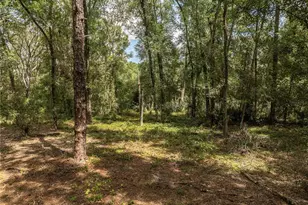 2946 SE 21st Ave, Sumterville, FL 33585 - Photo 13