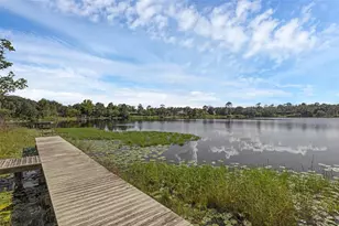 230 Fisher Run, Ocklawaha, FL 32179 - Photo 51